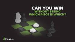 New Chess With Checkers Variant